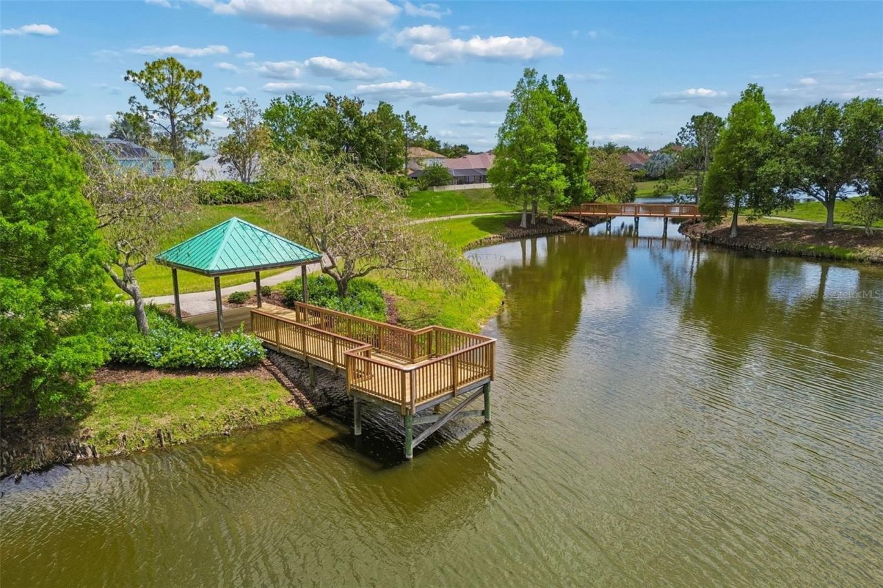 5405 Hammock View Lane, Apollo Beach, FL 33572 Photo