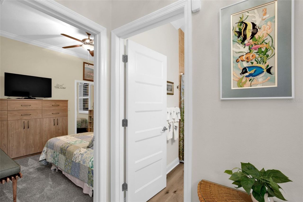 3338 Bellino Boulevard, New Smyrna Beach, FL 32168 Photo