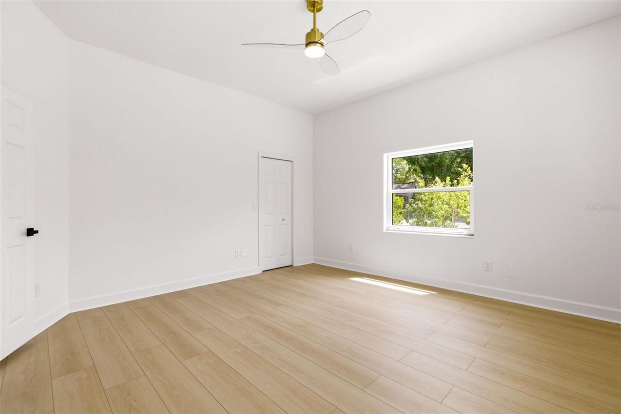 606 Tomoka Drive, Palm Harbor, FL 34683 Photo