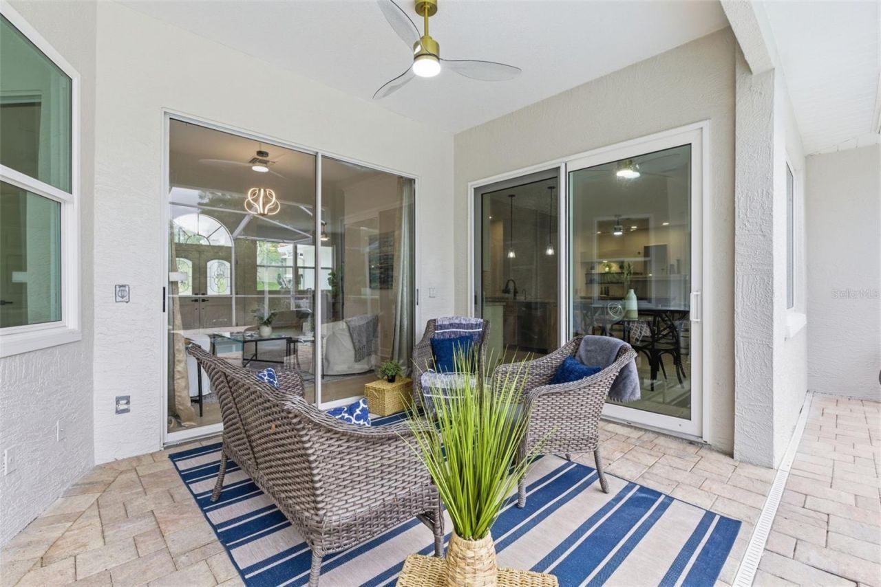 606 Tomoka Drive, Palm Harbor, FL 34683 Photo