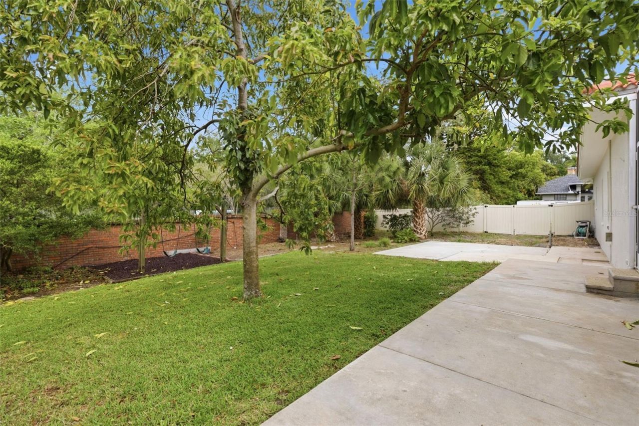 606 Tomoka Drive, Palm Harbor, FL 34683 Photo