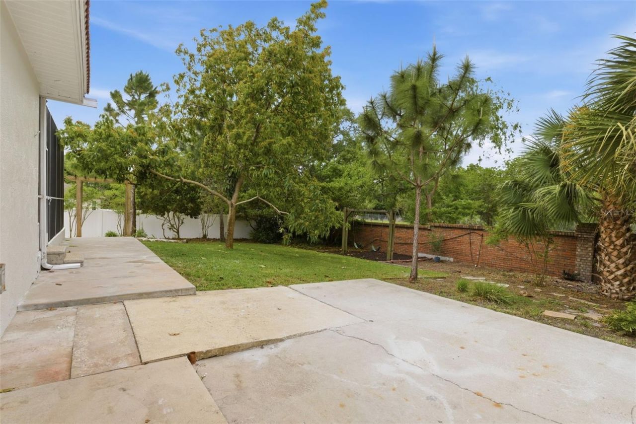 606 Tomoka Drive, Palm Harbor, FL 34683 Photo