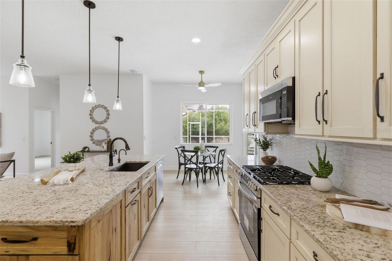 606 Tomoka Drive, Palm Harbor, FL 34683 Photo