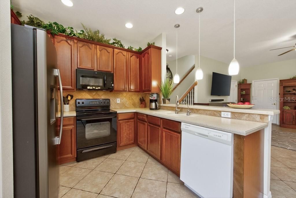 1063 Paseo Del Rio Ne, Saint Petersburg, FL 33702 Photo