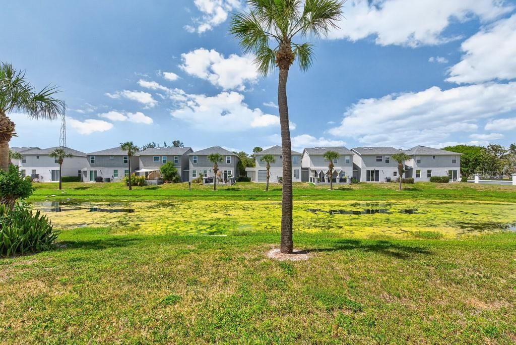 1063 Paseo Del Rio Ne, Saint Petersburg, FL 33702 Photo