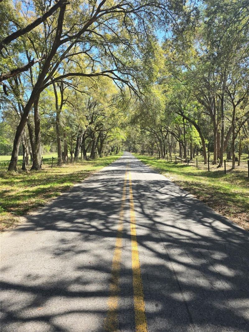 Tbd (lot 2) 55th Place, Mc Alpin, FL 32062 Photo
