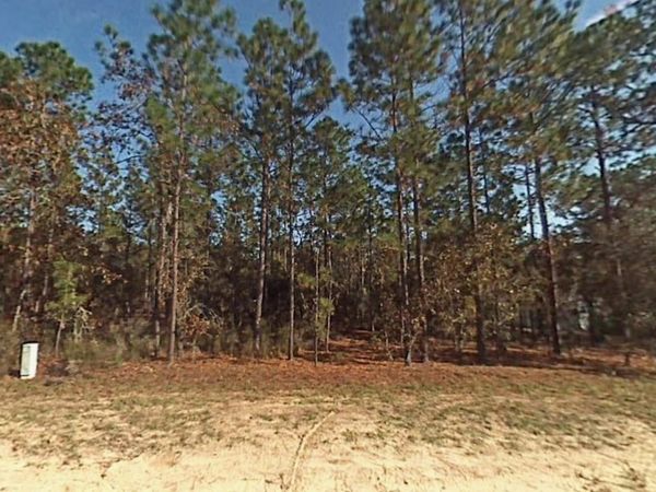 Tbd SW 166th Court Road, Ocala, FL 34432