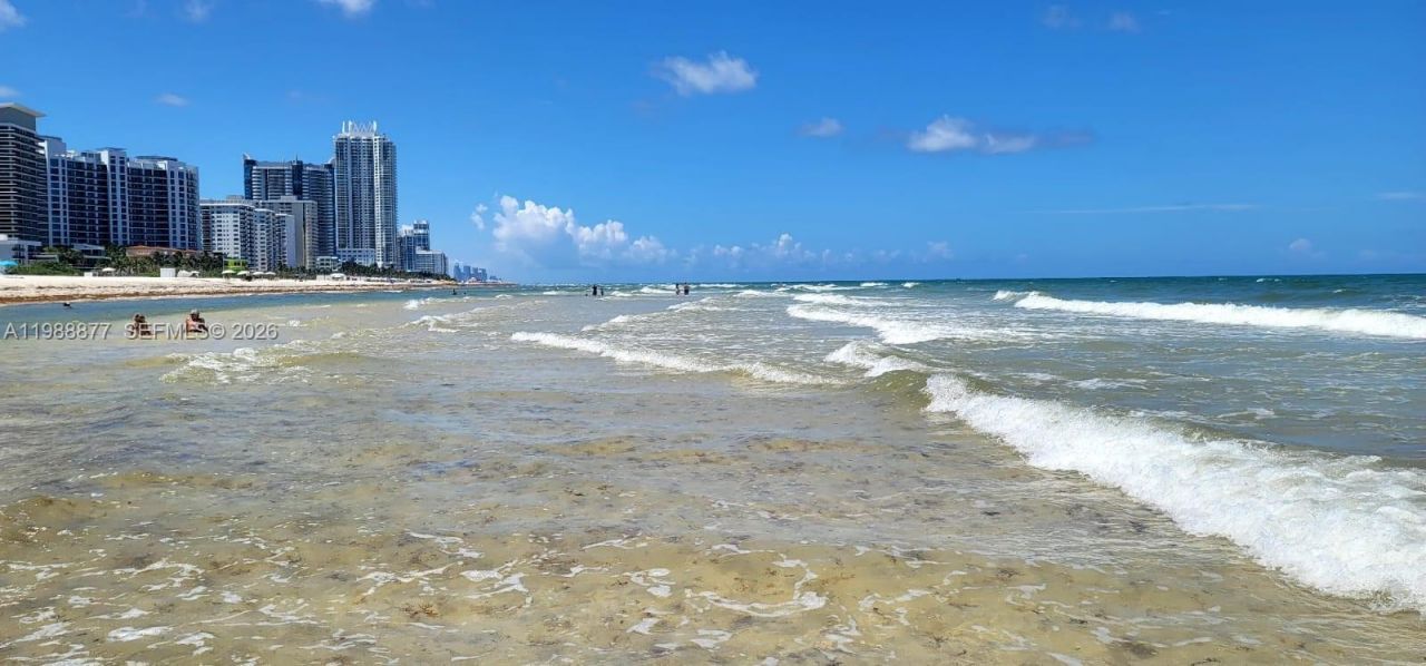 5601 Collins Ave, Unit 1110, Miami Beach, FL 33140 Photo