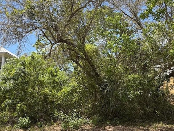 0 Gulf Avenue, Orange Beach, AL 36561