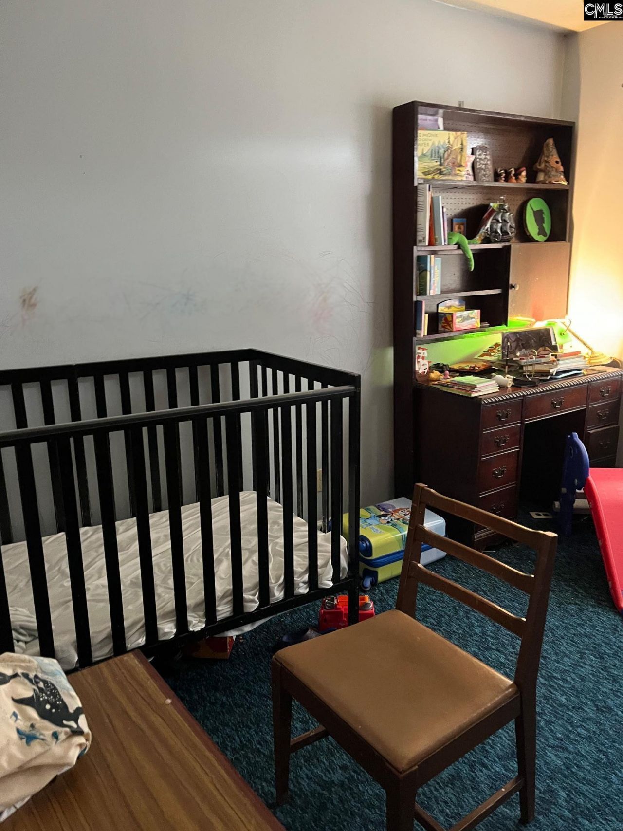 1009 Gardendale Drive Photo 12