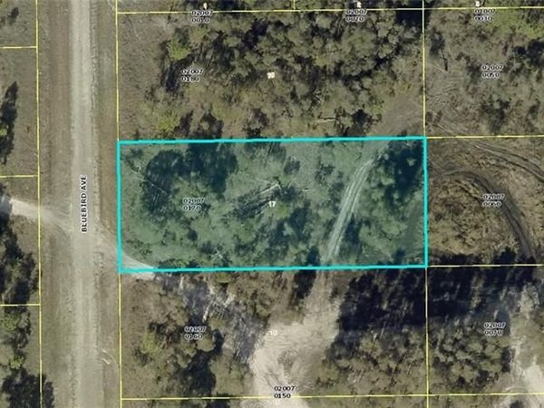 719 Bluebird AVE, LEHIGH ACRES, FL 33974