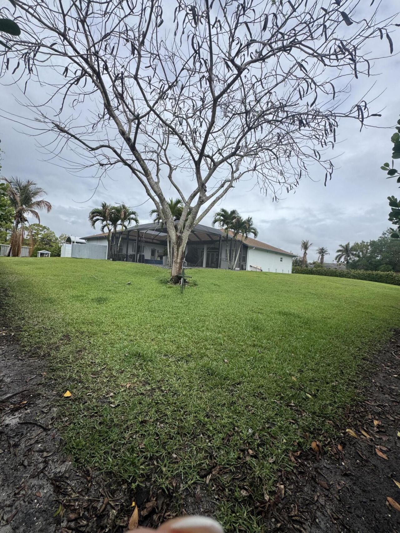 15062 N 73rd St Street N, The Acreage, FL 33470 Photo