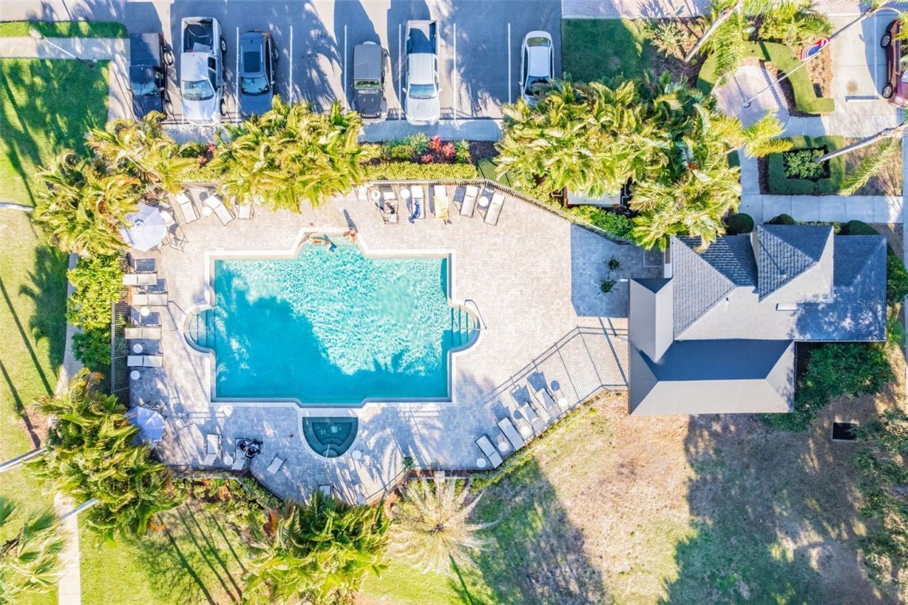 3019 Bayshore Pointe Drive, Tampa, FL 33611 Photo