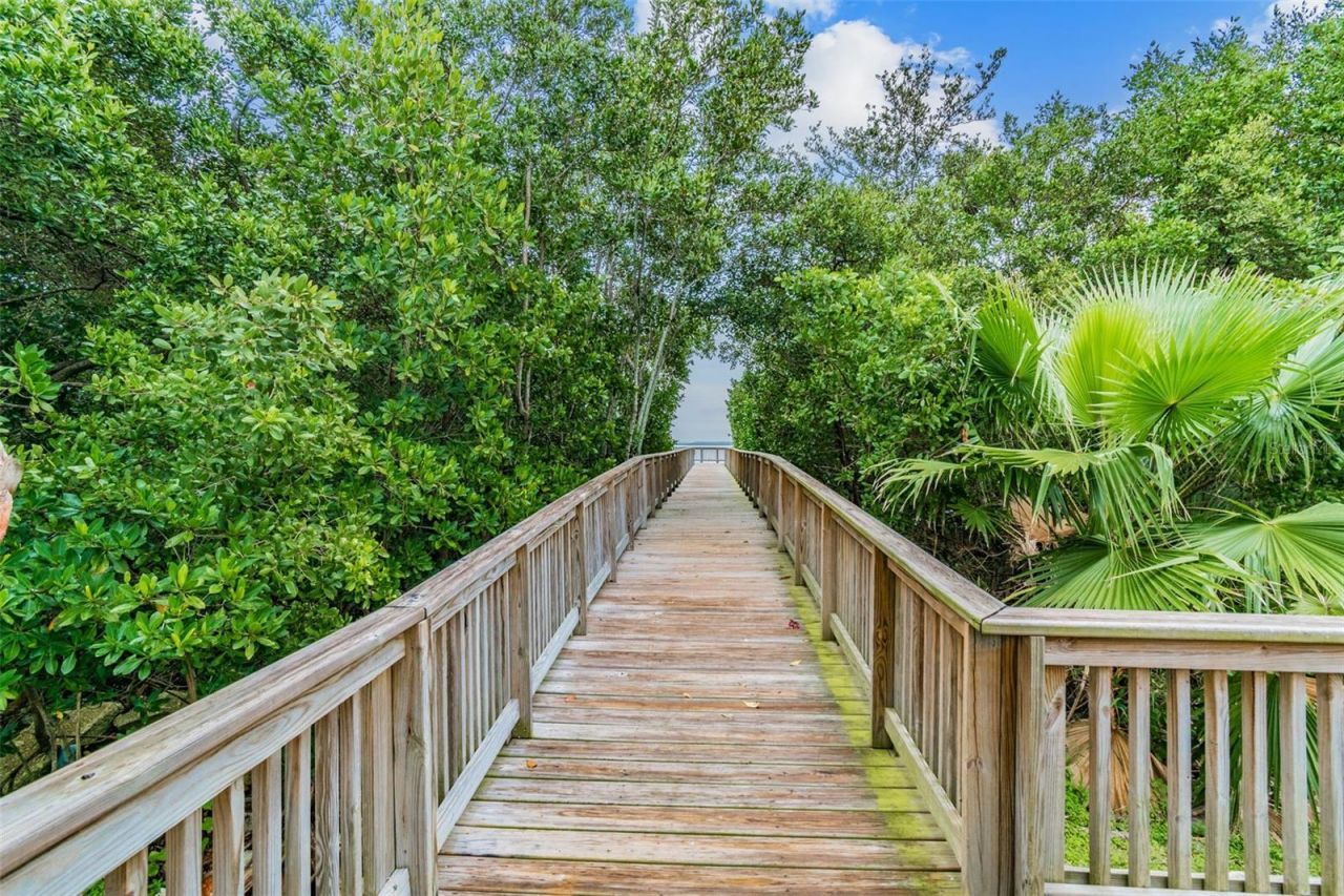 3019 Bayshore Pointe Drive, Tampa, FL 33611 Photo