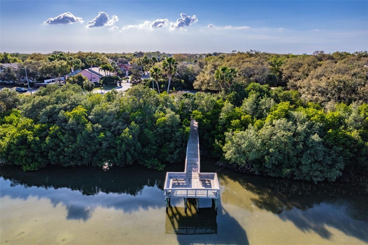 3019 Bayshore Pointe Drive, Tampa, FL 33611 Photo