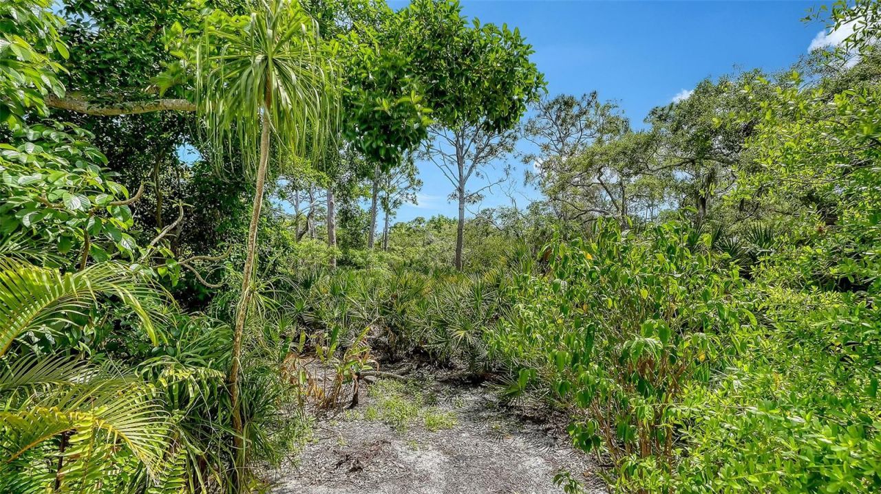 61 Bayhead Lane, Osprey, FL 34229 Photo