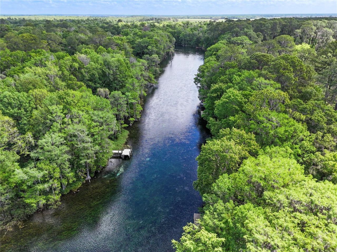 11160 SW 190th Avenue, Dunnellon, FL 34431 Photo