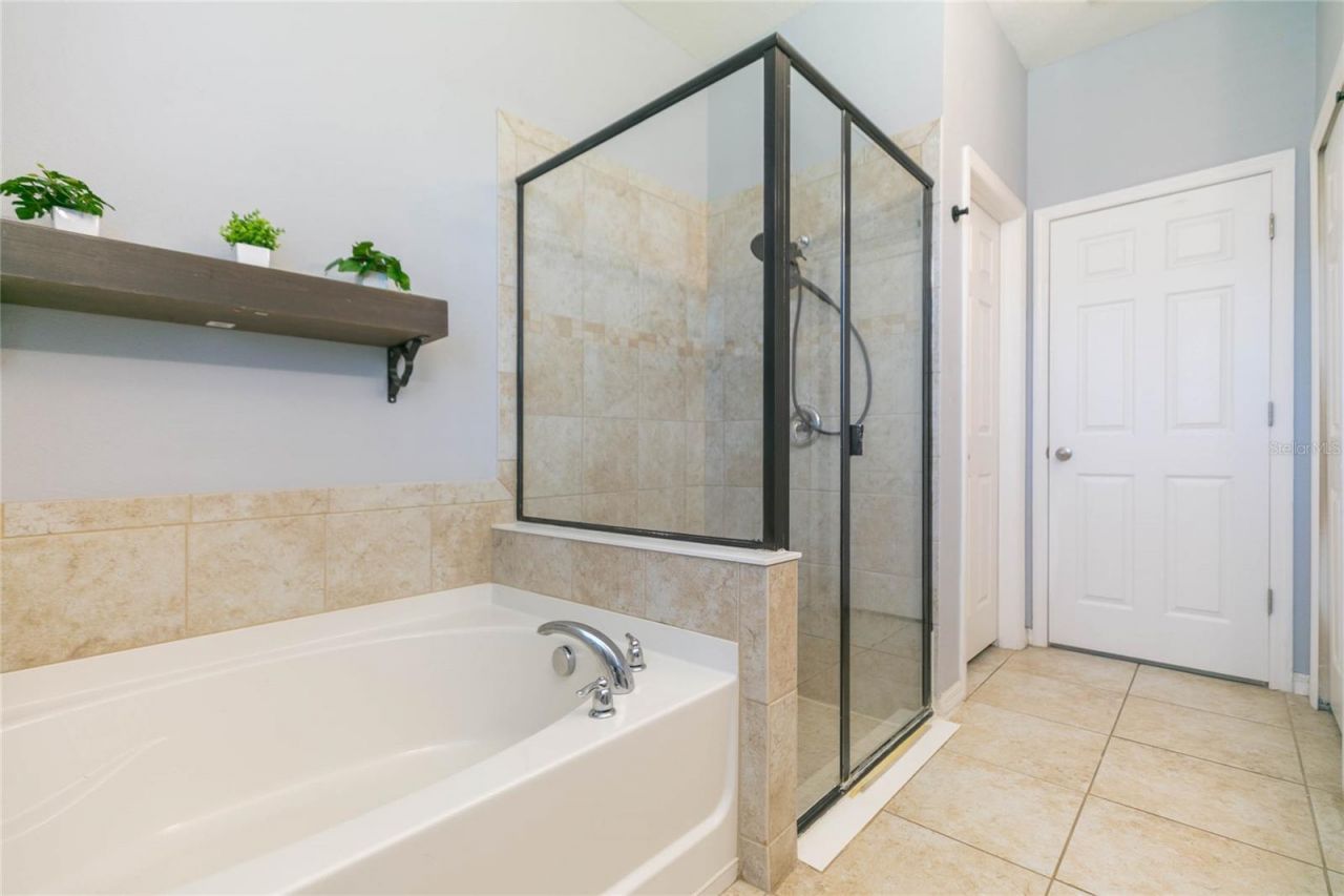 5397 Angelonia Terrace, Land O Lakes, FL 34639 Photo