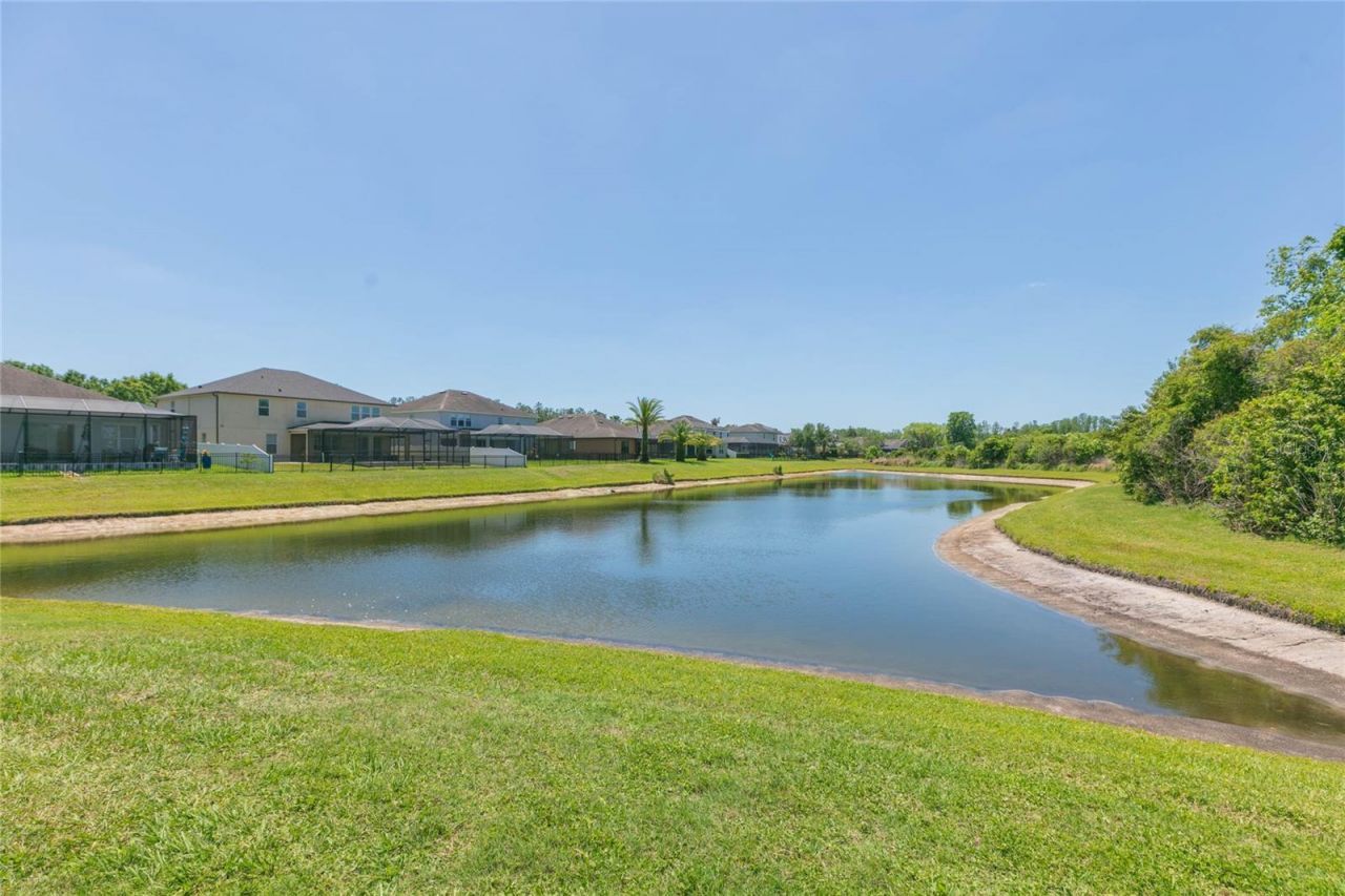 5397 Angelonia Terrace, Land O Lakes, FL 34639 Photo