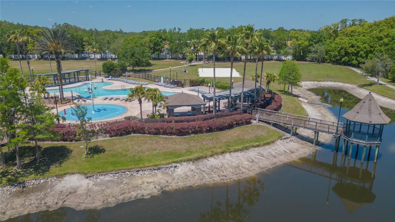 5397 Angelonia Terrace, Land O Lakes, FL 34639 Photo