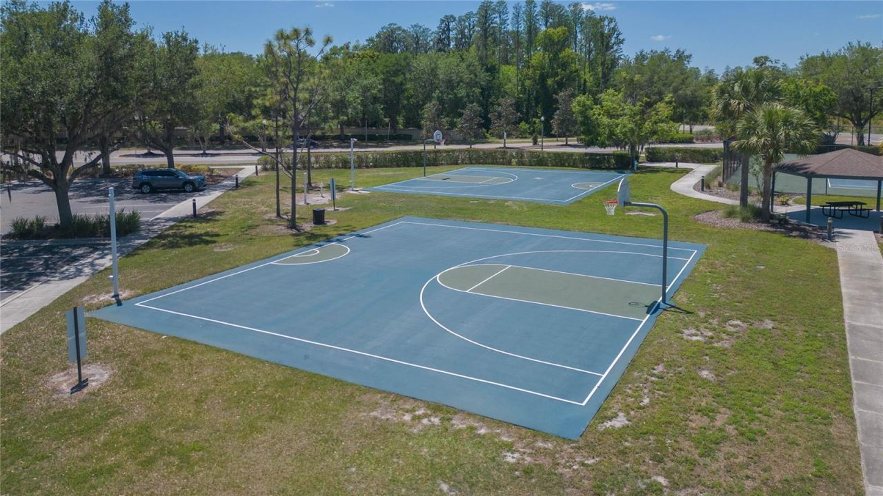 5397 Angelonia Terrace, Land O Lakes, FL 34639 Photo