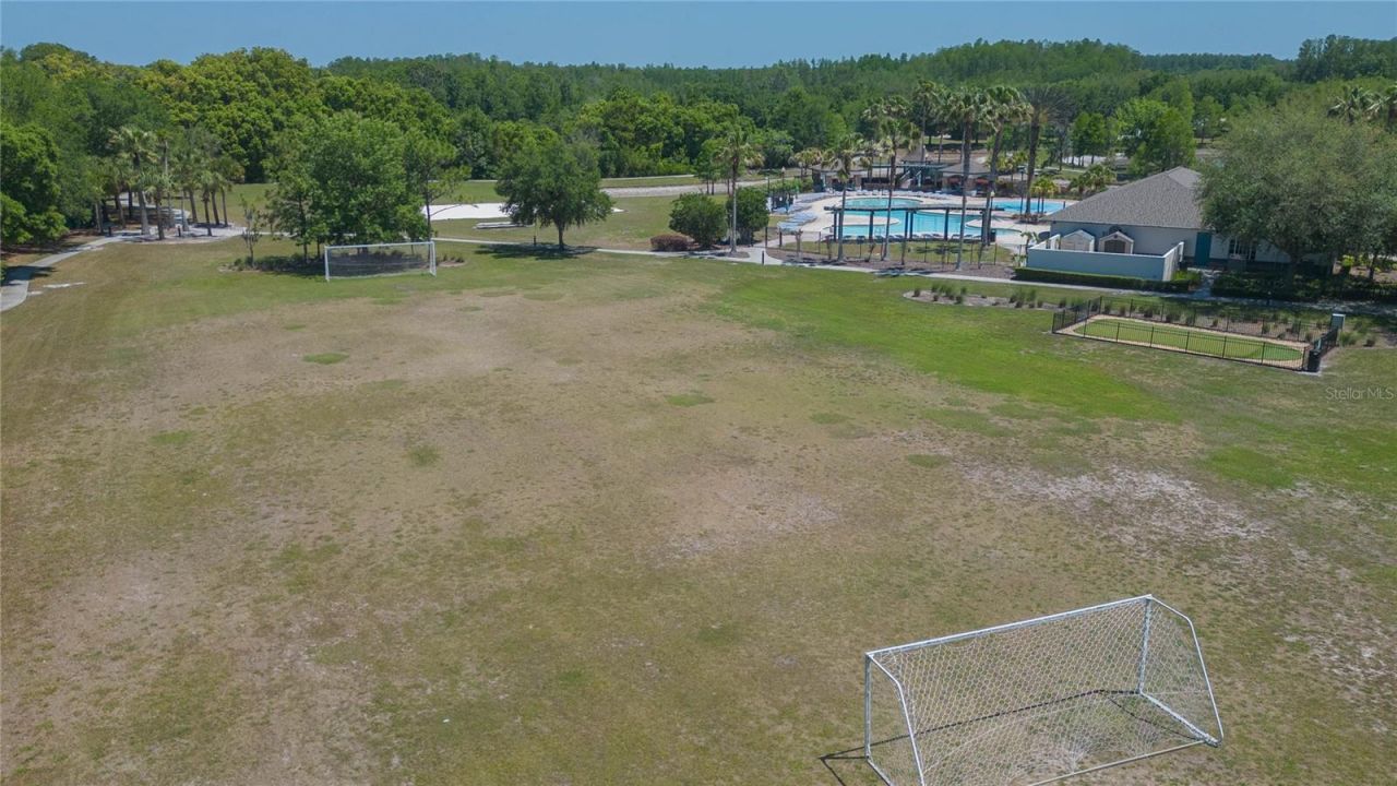 5397 Angelonia Terrace, Land O Lakes, FL 34639 Photo