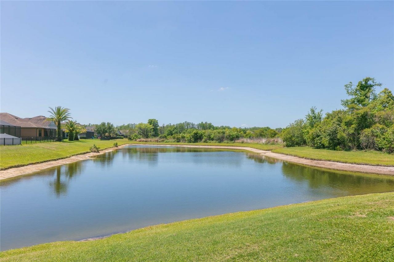 5397 Angelonia Terrace, Land O Lakes, FL 34639 Photo