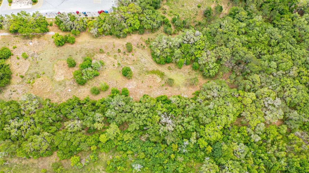 2623 W C 48, Bushnell, FL 33513 Photo