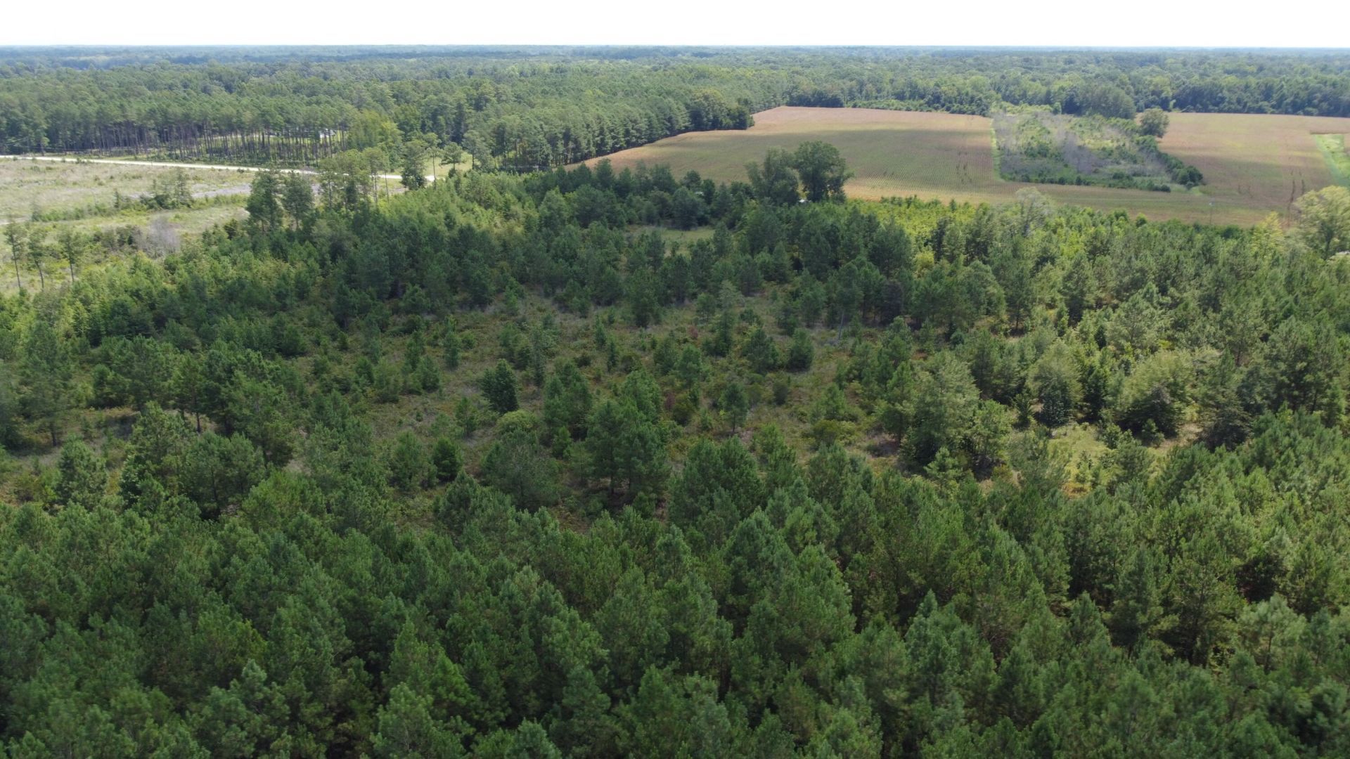 1 Farmington Road Photo 10