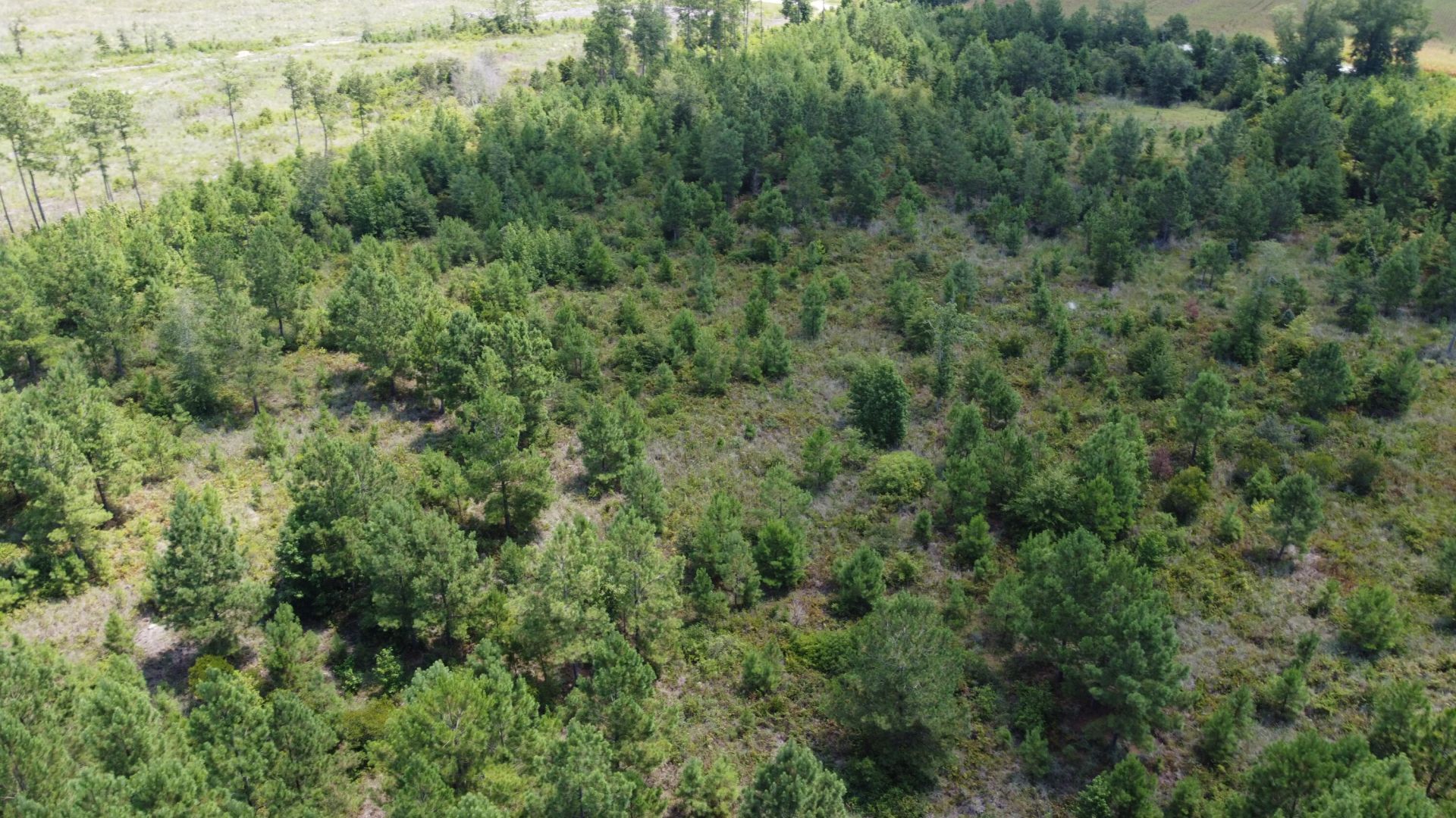 1 Farmington Road Photo 11