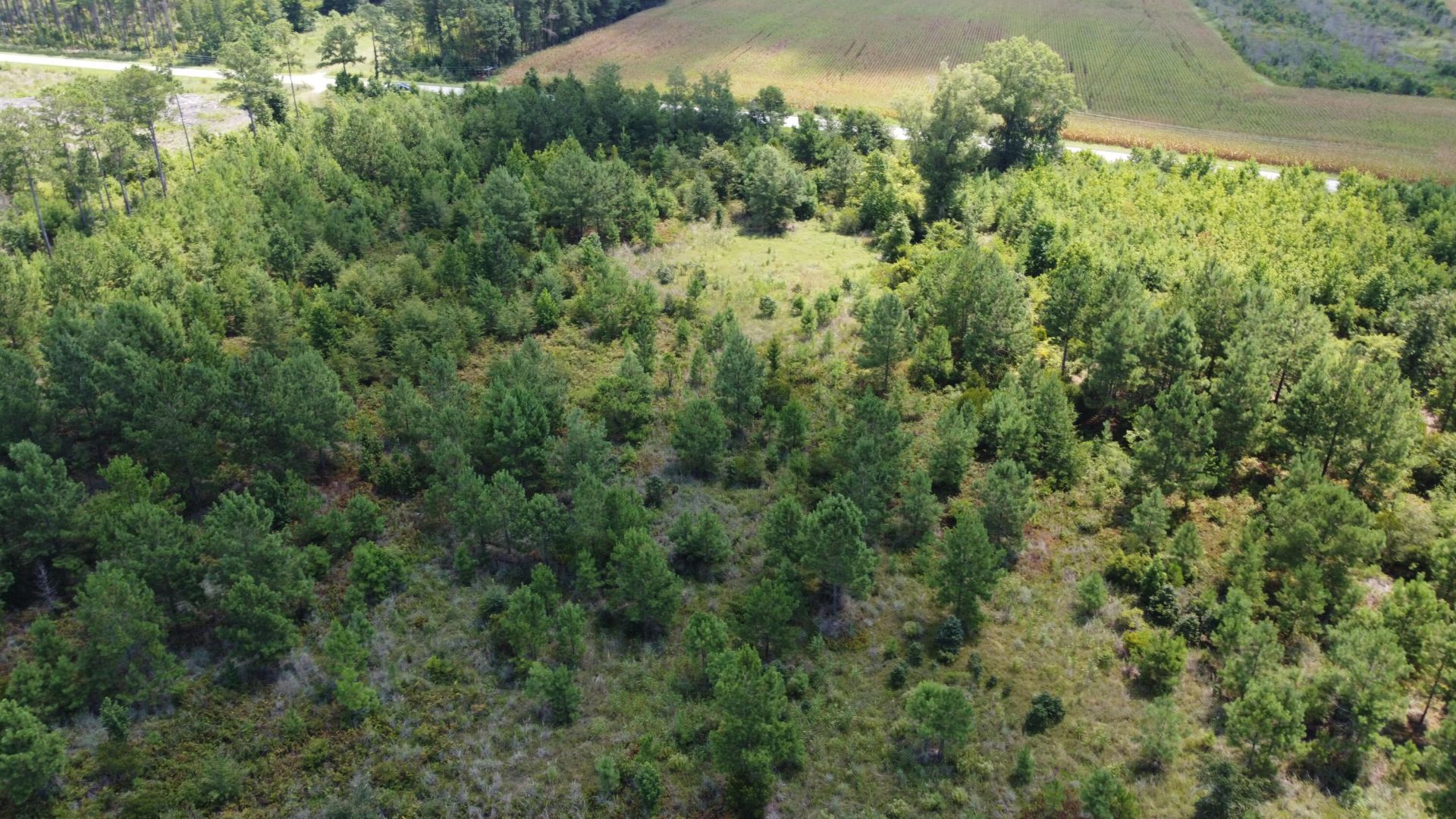 1 Farmington Road Photo 12