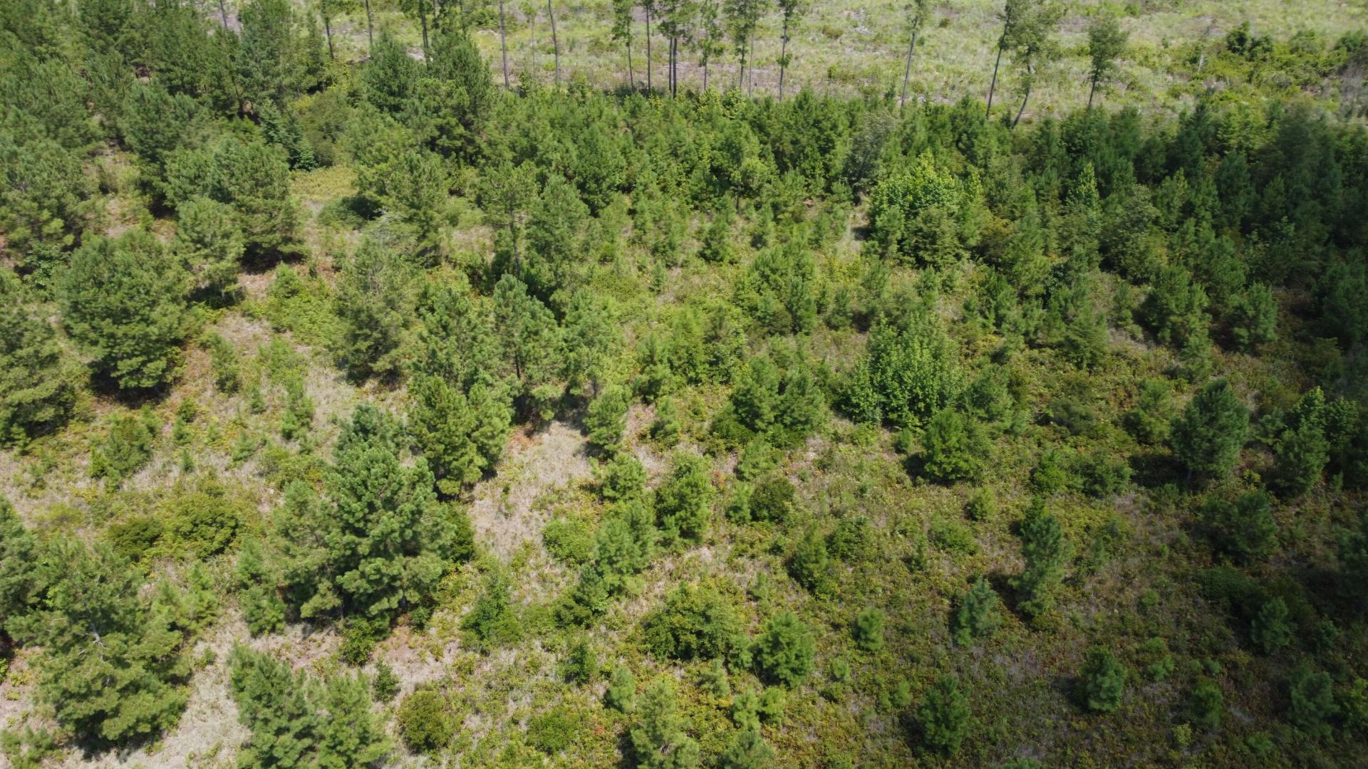 1 Farmington Road Photo 13