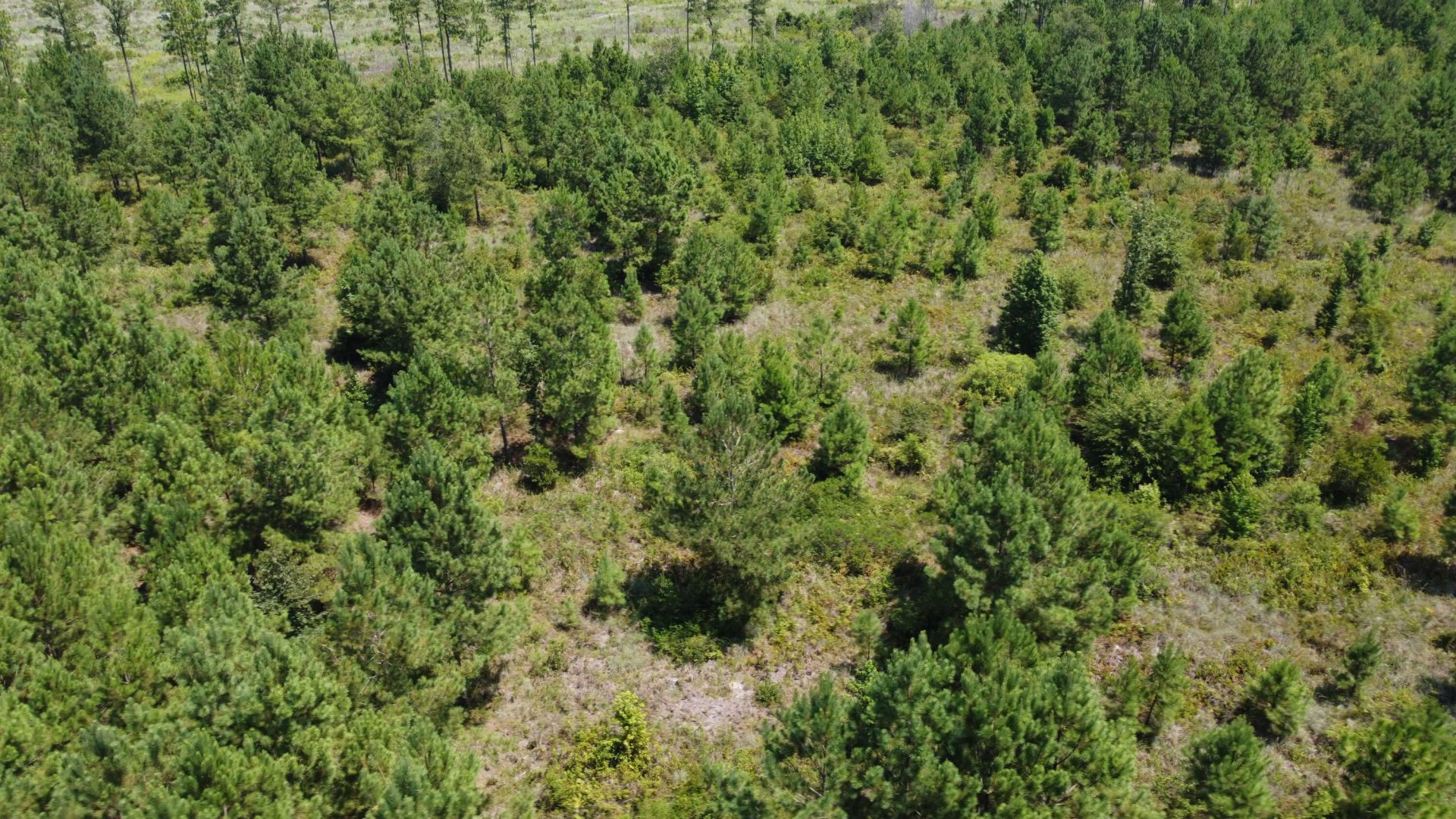 1 Farmington Road Photo 15