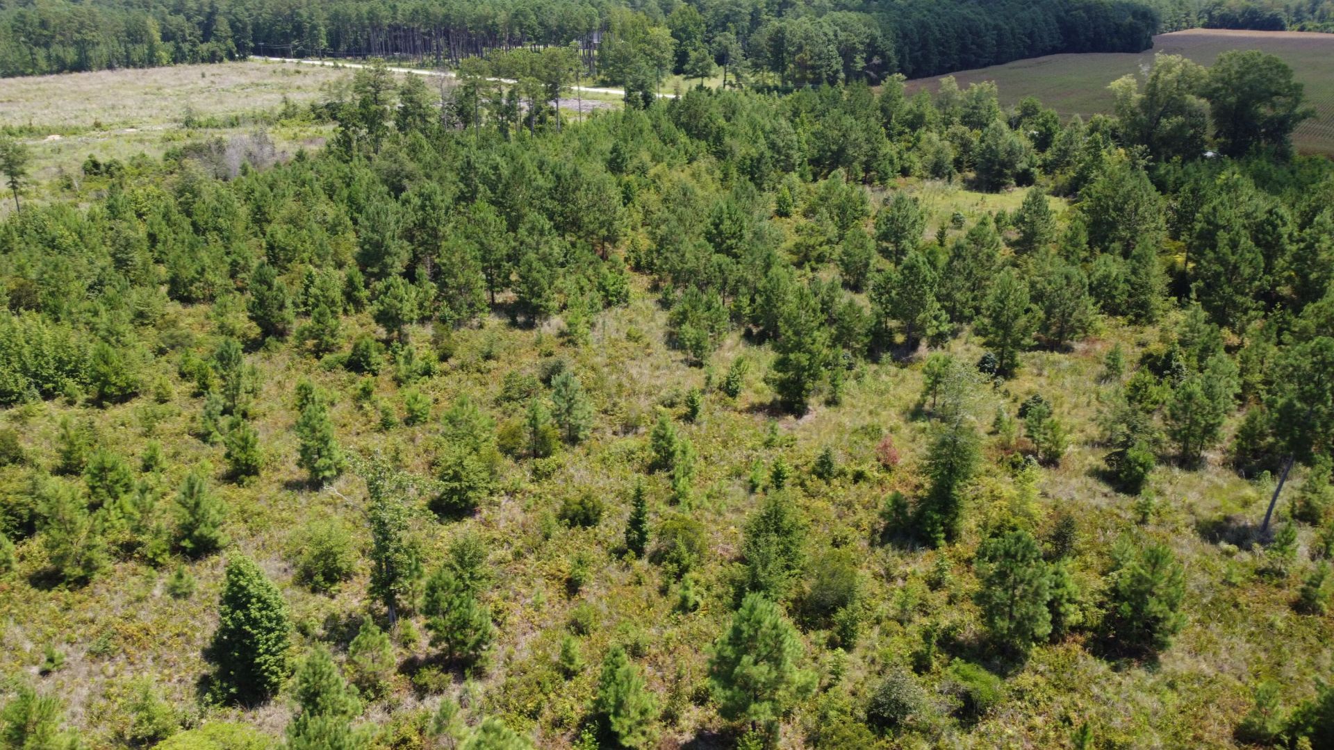 1 Farmington Road Photo 16