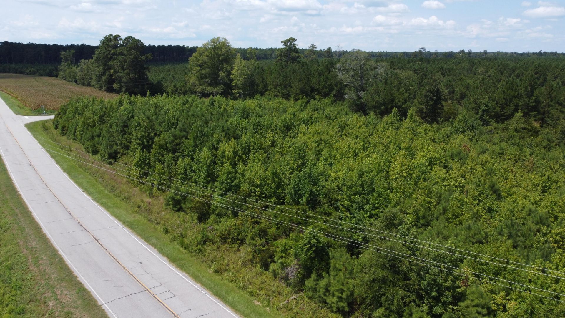 1 Farmington Road Photo 17