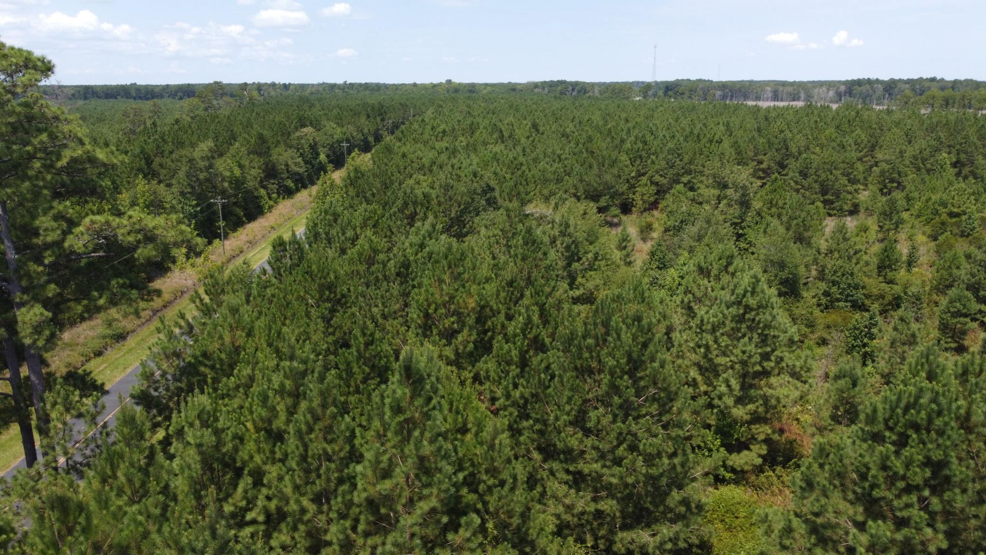 1 Farmington Road Photo 19