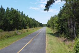 1 Farmington Road photo 4