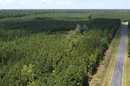 1 Farmington Road photo 4