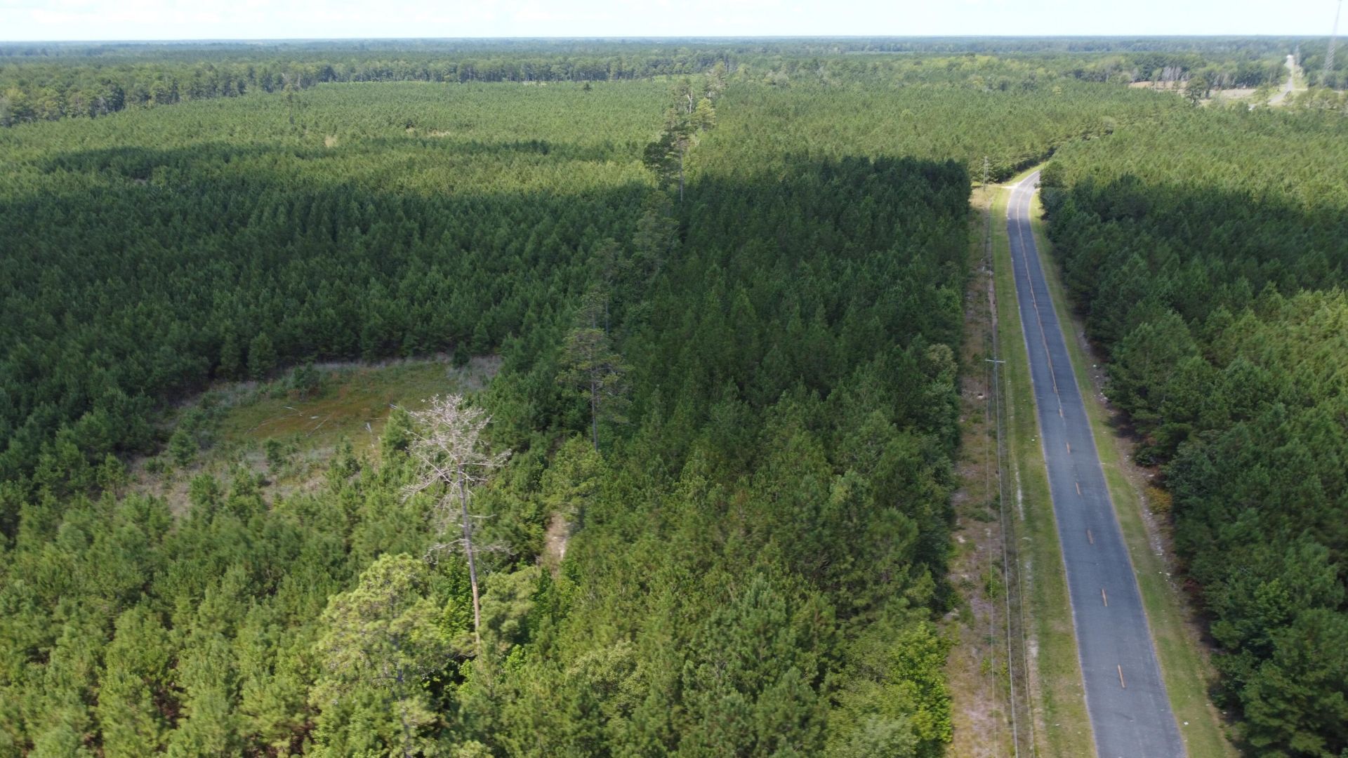 1 Farmington Road Photo 4