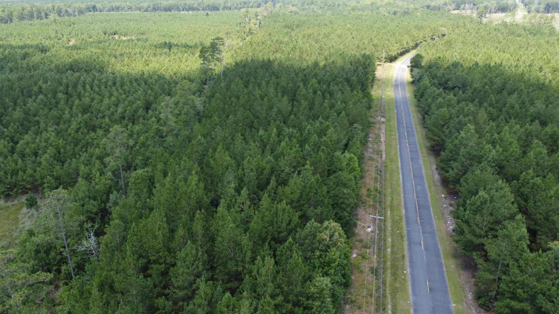 1 Farmington Road Photo 5