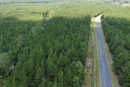 1 Farmington Road photo 4