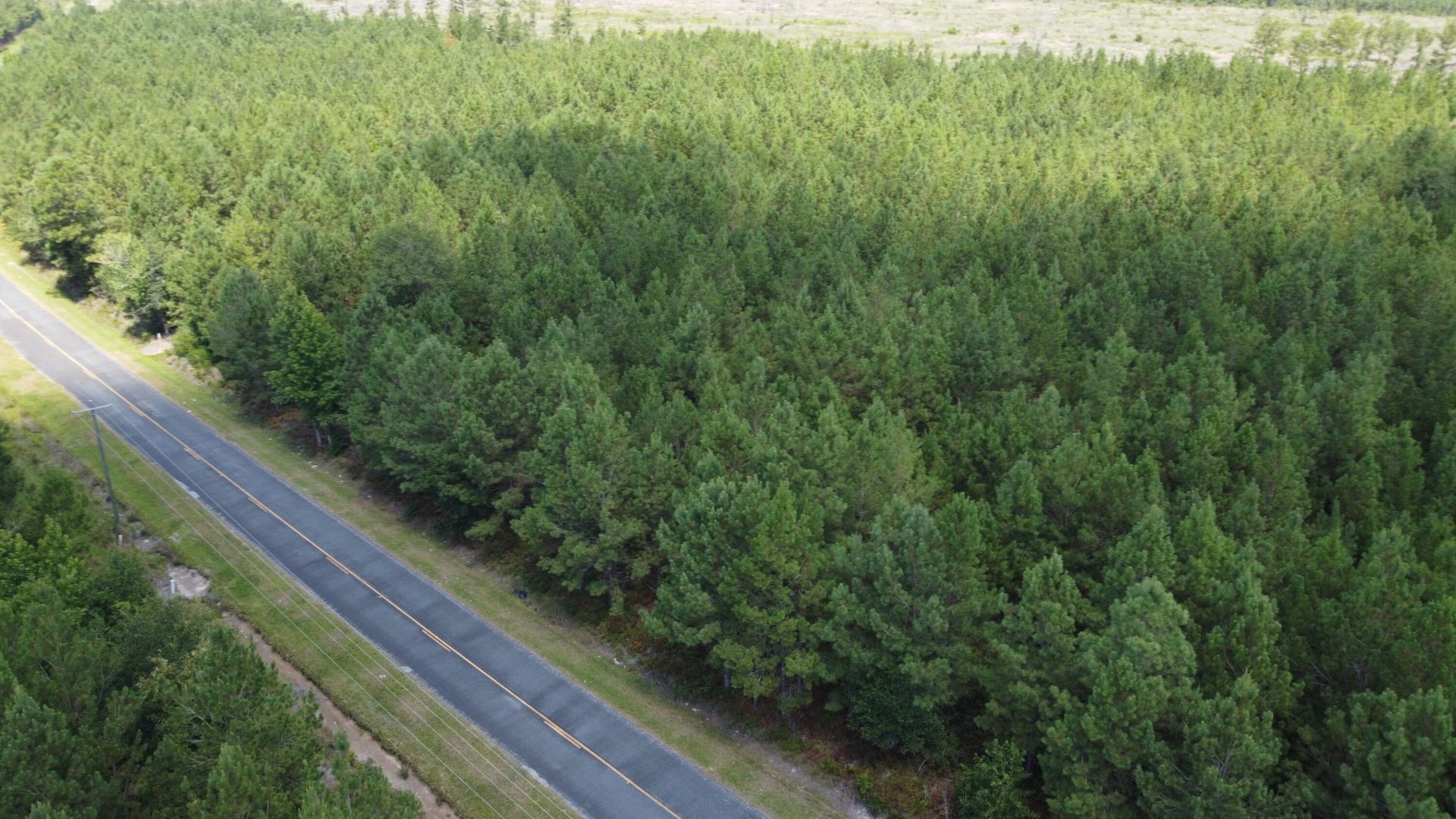 1 Farmington Road Photo 6