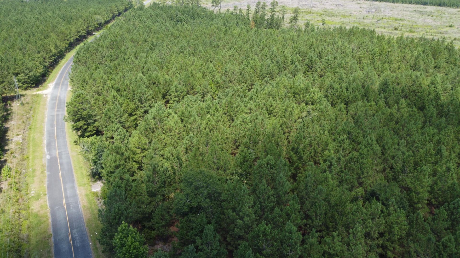 1 Farmington Road Photo 7