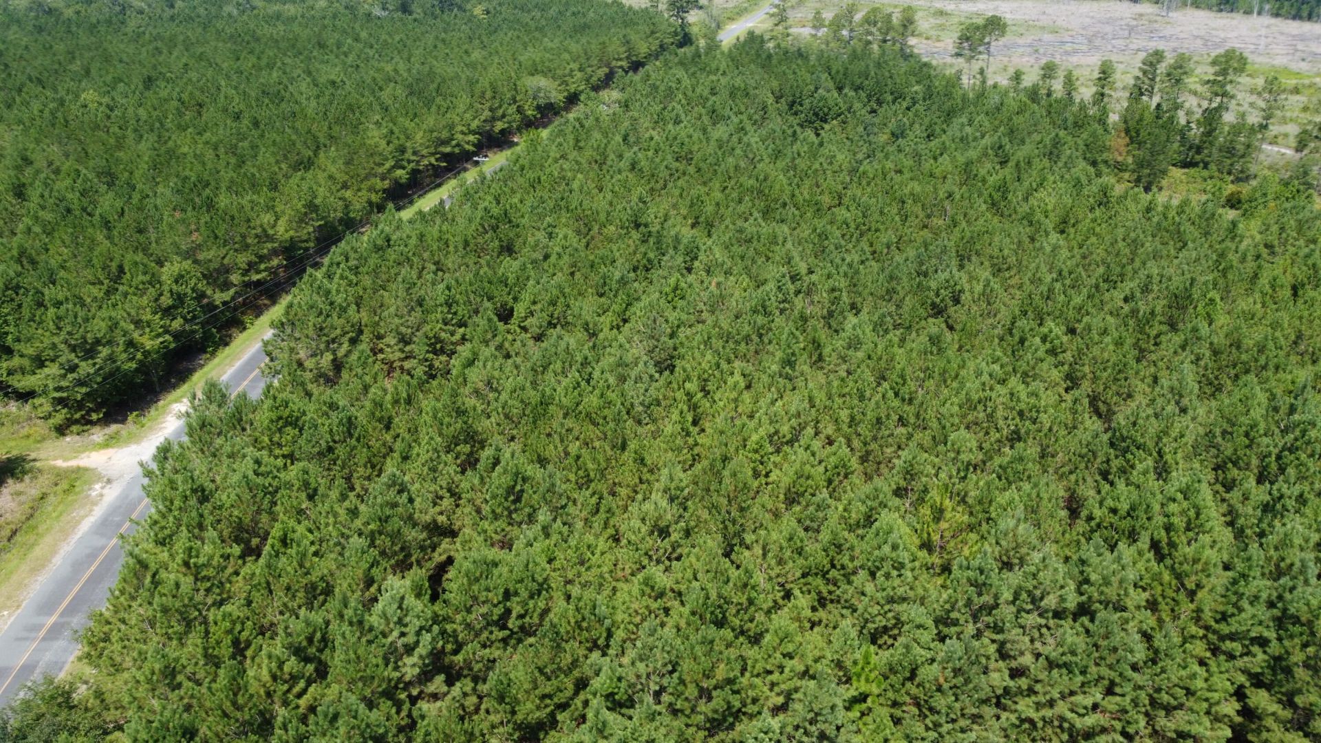 1 Farmington Road Photo 8