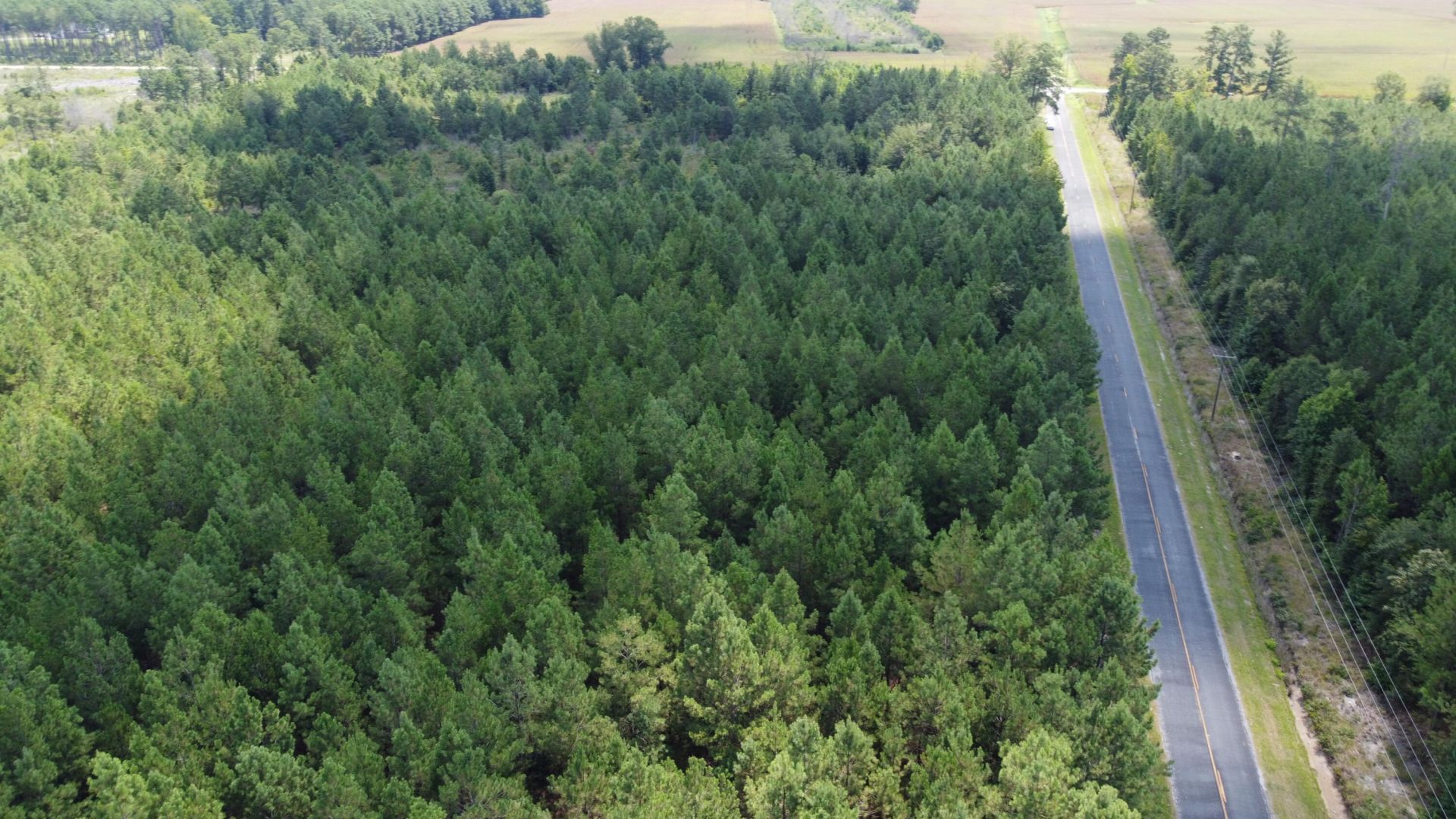 1 Farmington Road Photo 9