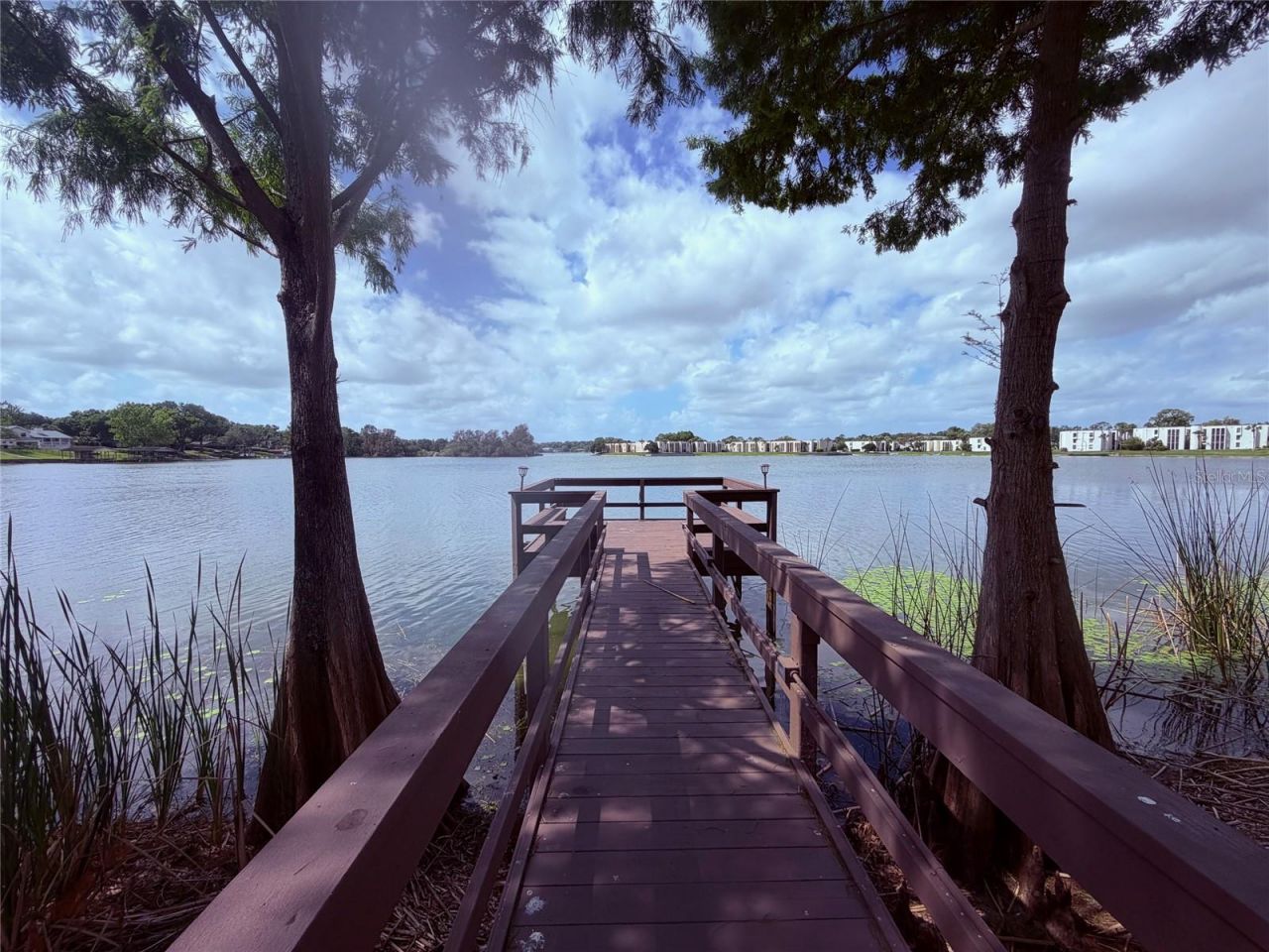 590 Orange Drive, Unit 136, Altamonte Springs, FL 32701 Photo