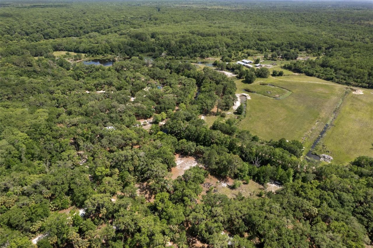 6946 E Channel Drive , Hernando, FL 34442 Photo