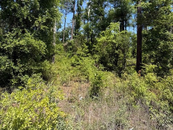 14TH TERRACE, Live Oak, FL 32060