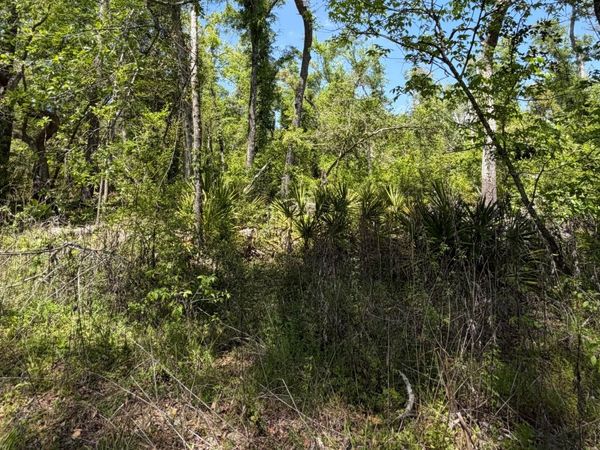 LOT 20 & 21 SRP EST, Live Oak, FL 32060