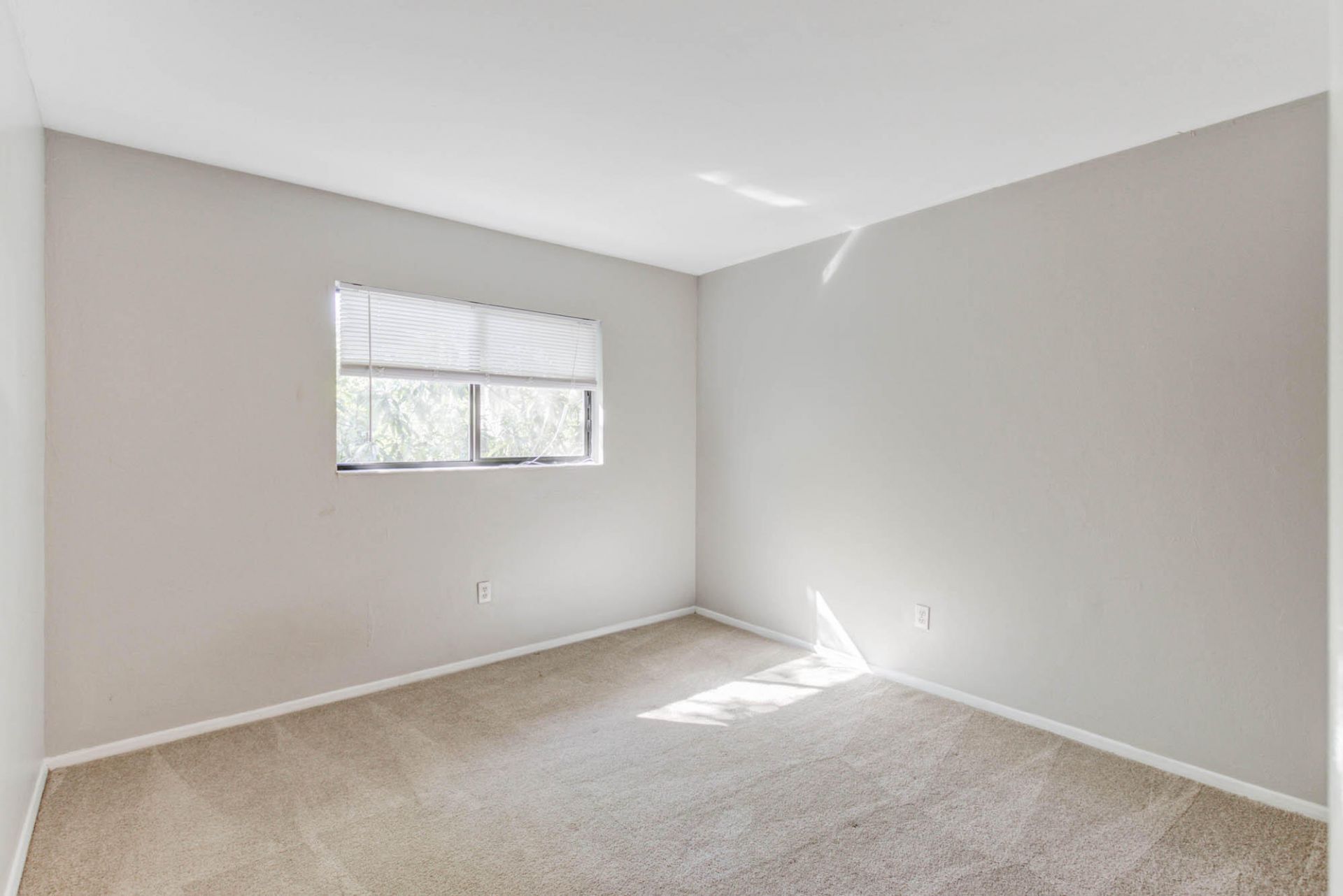 2955 Dove Haven Court Photo 15